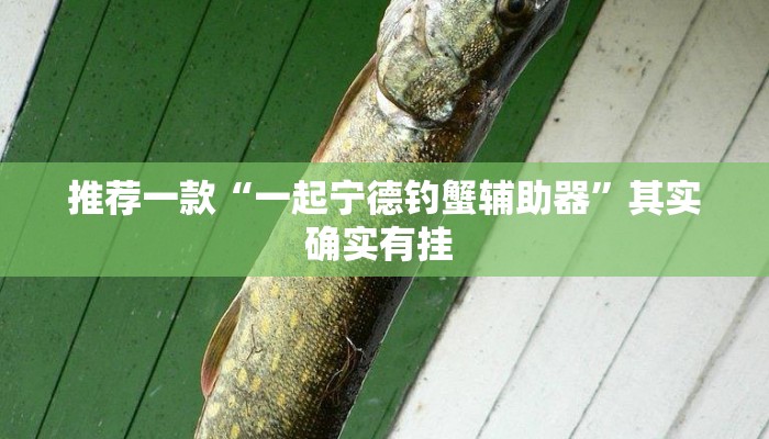 实测教程”wepoker德州出牌规律”(原来确实是有挂)