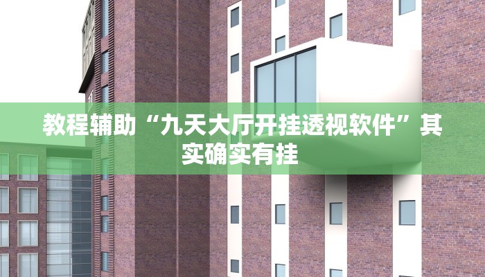 教程辅助“九天大厅开挂透视软件”其实确实有挂 