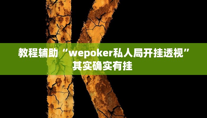 教程辅助“wepoker私人局开挂透视”其实确实有挂 