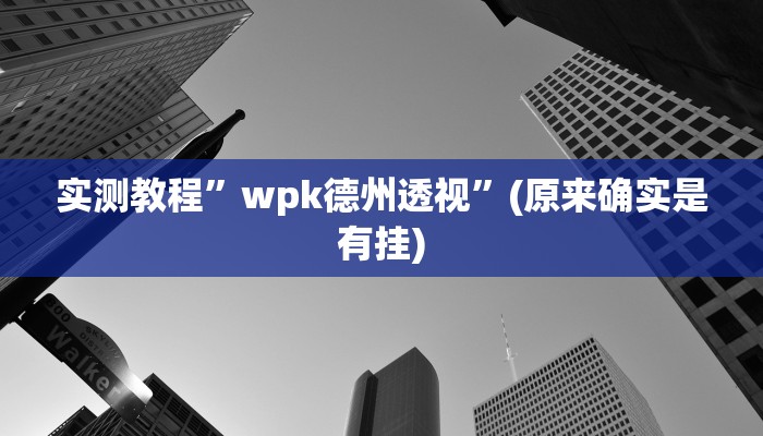 实测教程”wpk德州透视”(原来确实是有挂)