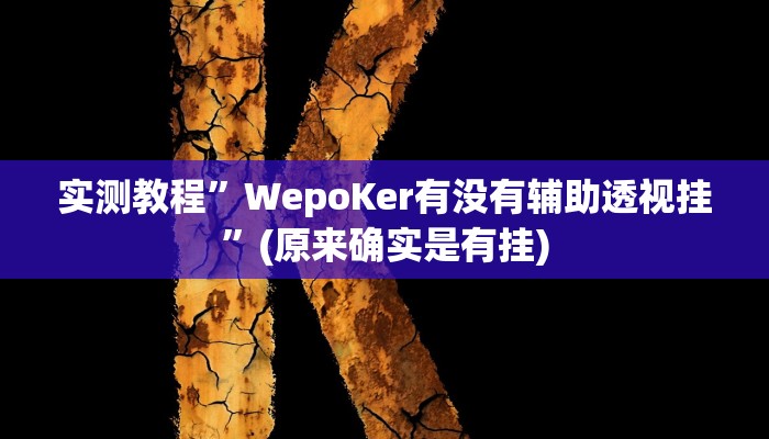 实测教程”WepoKer有没有辅助透视挂”(原来确实是有挂)