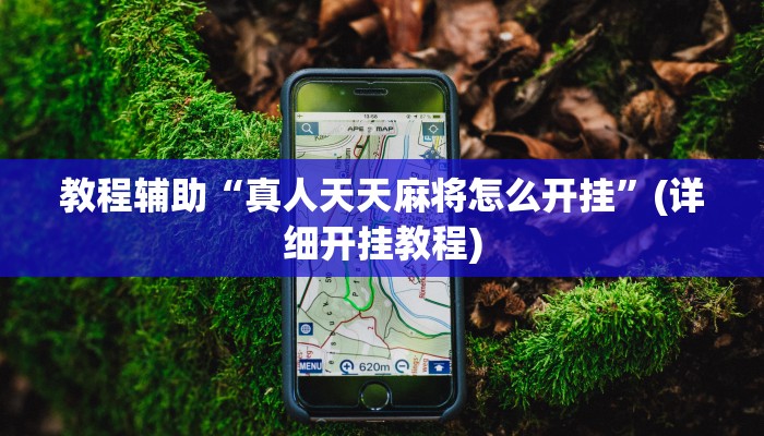 教程辅助“真人天天麻将怎么开挂”(详细开挂教程)