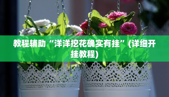 教程辅助“洋洋挖花确实有挂”(详细开挂教程)