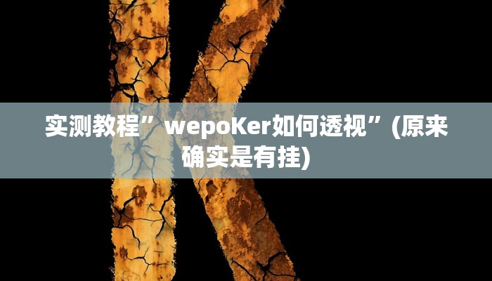 实测教程”wepoKer如何透视”(原来确实是有挂)