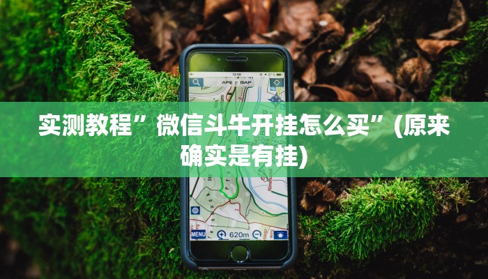 实测教程”微信斗牛开挂怎么买”(原来确实是有挂)