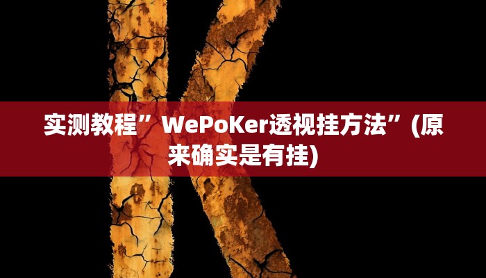 辅助神器“微乐福建麻将万能开挂器通用版”其实确实有挂 
