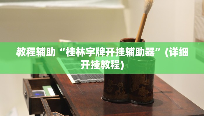 教程辅助“桂林字牌开挂辅助器”(详细开挂教程)