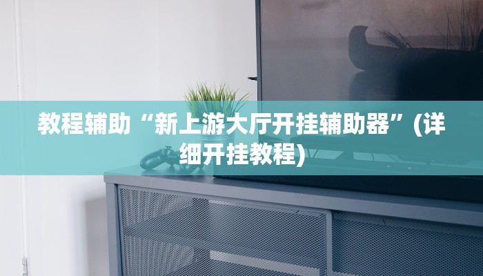 教程辅助“新上游大厅开挂辅助器”(详细开挂教程)