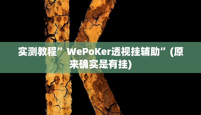 实测教程”WePoKer透视挂辅助”(原来确实是有挂)