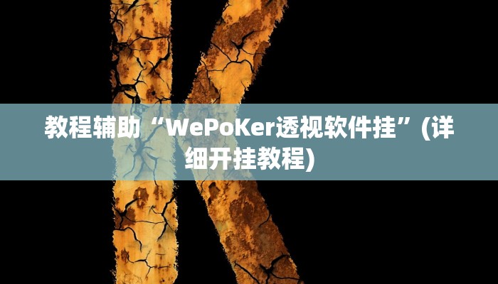 教程辅助“WePoKer透视软件挂”(详细开挂教程)