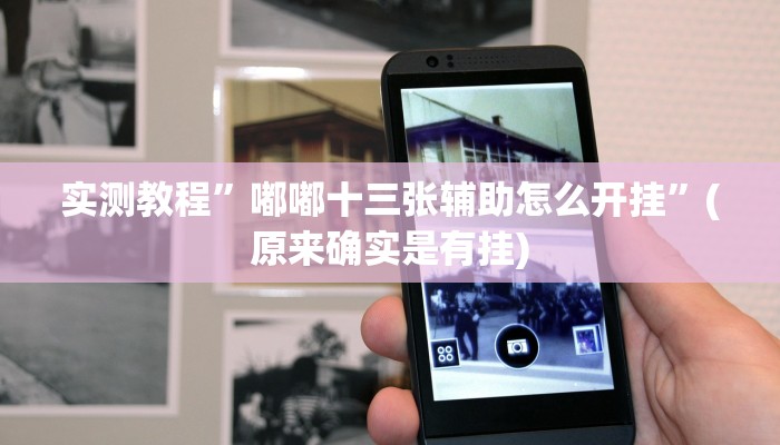 实测教程”嘟嘟十三张辅助怎么开挂”(原来确实是有挂)