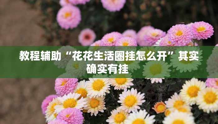 教程辅助“花花生活圈挂怎么开”其实确实有挂 