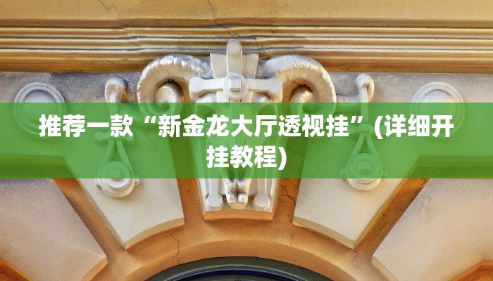 推荐一款“新金龙大厅透视挂”(详细开挂教程)