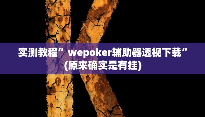 实测教程”wepoker辅助器透视下载”(原来确实是有挂)
