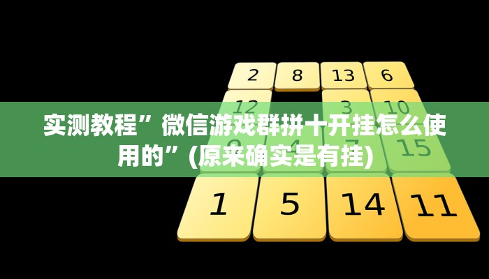 实测教程”wepokerplus辅助透视挂”(原来确实是有挂)