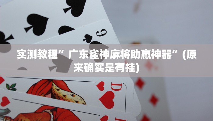 实测教程”广东雀神麻将助赢神器”(原来确实是有挂)