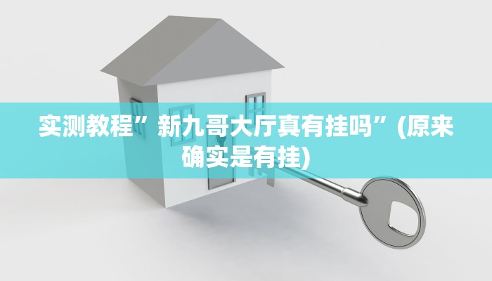 实测教程”新九哥大厅真有挂吗”(原来确实是有挂)
