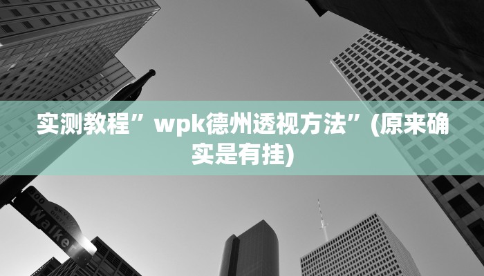 实测教程”wpk德州透视方法”(原来确实是有挂)