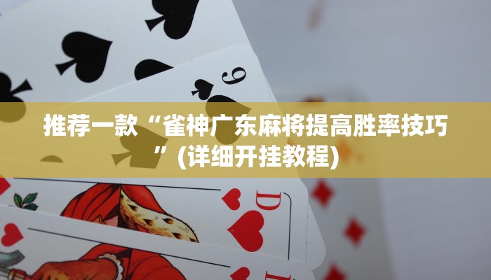 推荐一款“雀神广东麻将提高胜率技巧”(详细开挂教程)