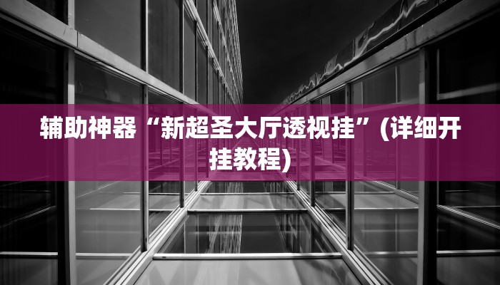 辅助神器“新超圣大厅透视挂”(详细开挂教程)