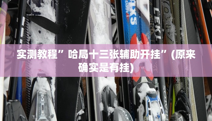 实测教程”哈局十三张辅助开挂”(原来确实是有挂)