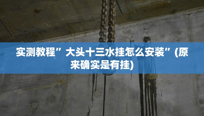 实测教程”大头十三水挂怎么安装”(原来确实是有挂)