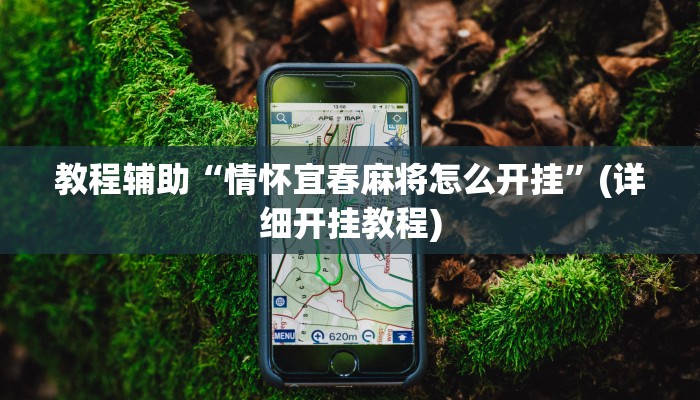 教程辅助“情怀宜春麻将怎么开挂”(详细开挂教程)