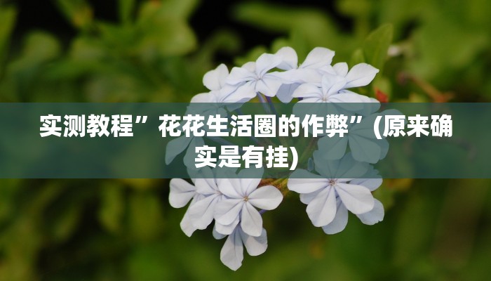 实测教程”花花生活圈的作弊”(原来确实是有挂)