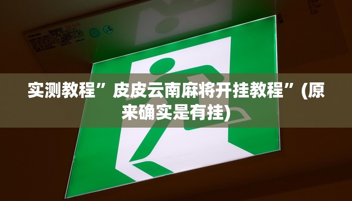实测教程”wepokerplus透视软件辅助”(原来确实是有挂)