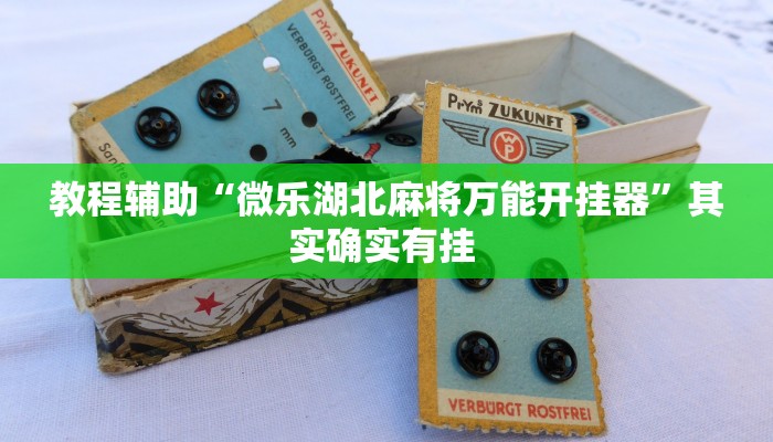 实测教程”微乐湖南麻将怎么开挂”(原来确实是有挂)