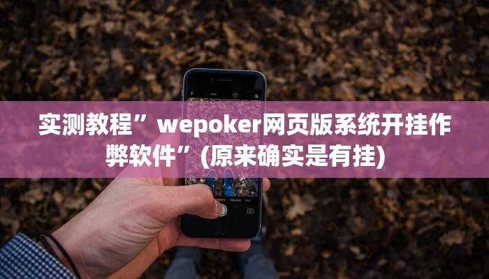 实测教程”wepoker网页版系统开挂作弊软件”(原来确实是有挂)