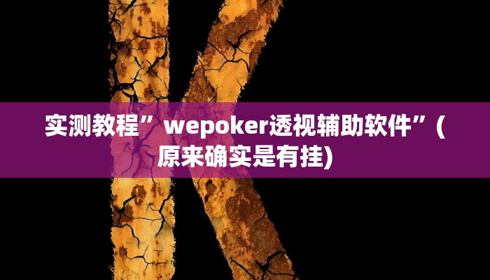 实测教程”wepoker透视辅助软件”(原来确实是有挂)