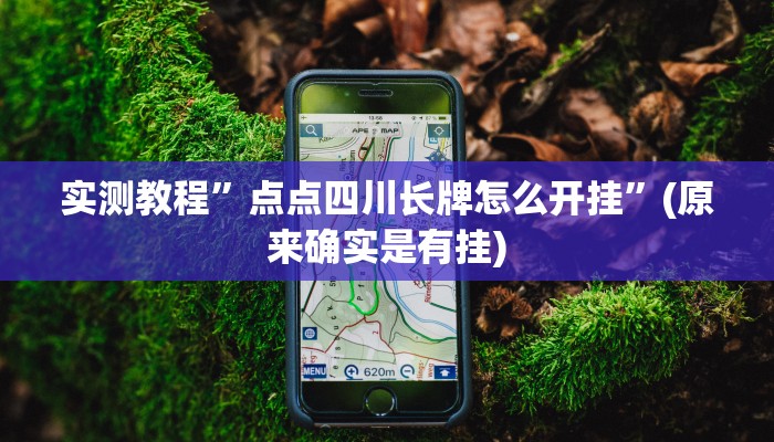 实测教程”点点四川长牌怎么开挂”(原来确实是有挂)