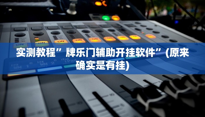 实测教程”牌乐门辅助开挂软件”(原来确实是有挂)