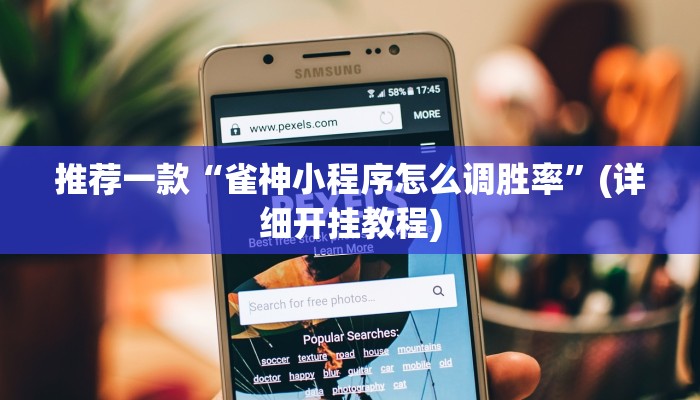 推荐一款“雀神小程序怎么调胜率”(详细开挂教程)
