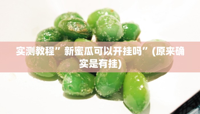 实测教程”新蜜瓜可以开挂吗”(原来确实是有挂)