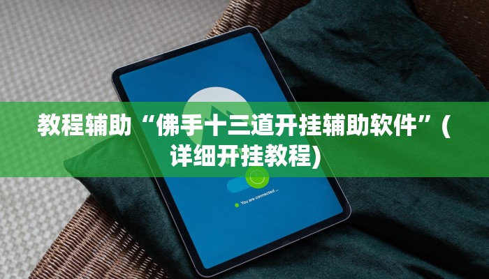 教程辅助“佛手十三道开挂辅助软件”(详细开挂教程)