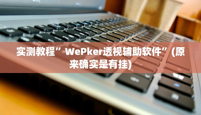 实测教程”WePker透视辅助软件”(原来确实是有挂)