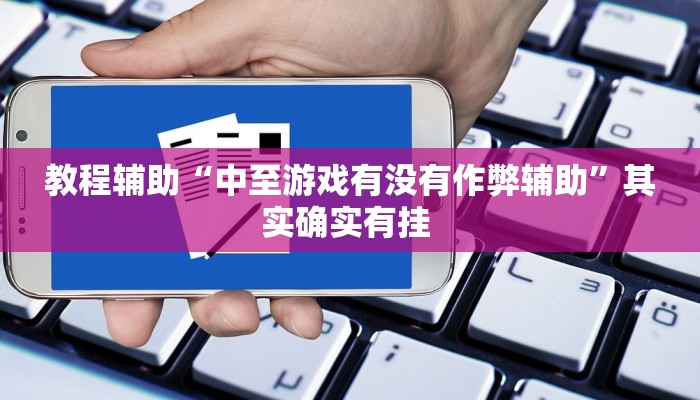 教程辅助“中至游戏有没有作弊辅助”其实确实有挂 