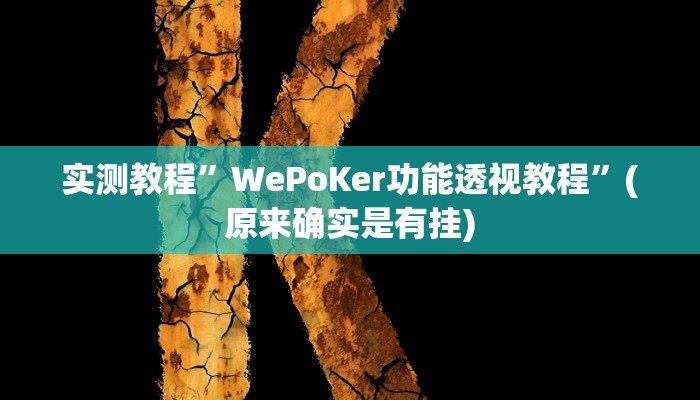 实测教程”WePoKer功能透视教程”(原来确实是有挂)