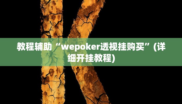 教程辅助“wepoker透视挂购买”(详细开挂教程)