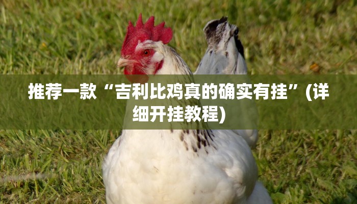 推荐一款“吉利比鸡真的确实有挂”(详细开挂教程)