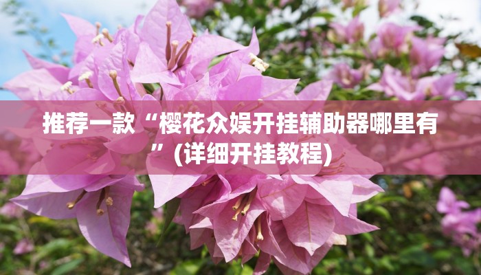 教程辅助“九九山城麻将究竟可以开挂吗”(详细开挂教程)
