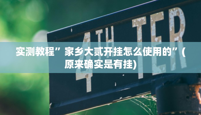 实测教程”家乡大贰开挂怎么使用的”(原来确实是有挂)