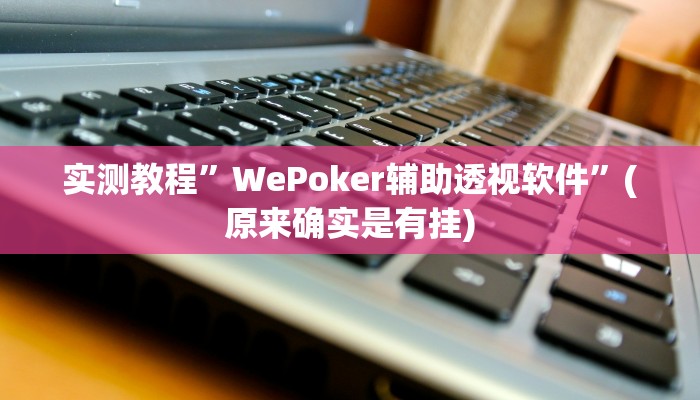 实测教程”WePoker辅助透视软件”(原来确实是有挂)