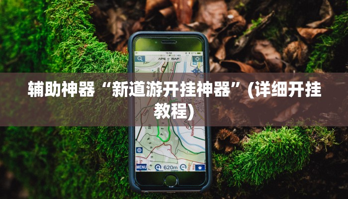 辅助神器“新道游开挂神器”(详细开挂教程)