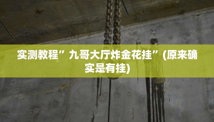 实测教程”九哥大厅炸金花挂”(原来确实是有挂)