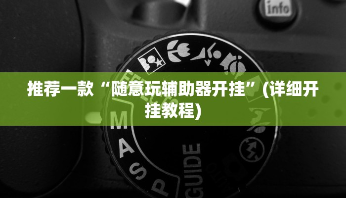 推荐一款“随意玩辅助器开挂”(详细开挂教程)