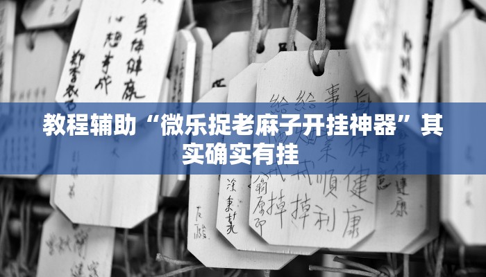 教程辅助“微乐捉老麻子开挂神器”其实确实有挂 