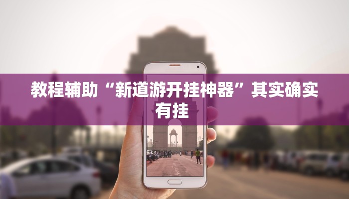 教程辅助“新道游开挂神器”其实确实有挂 